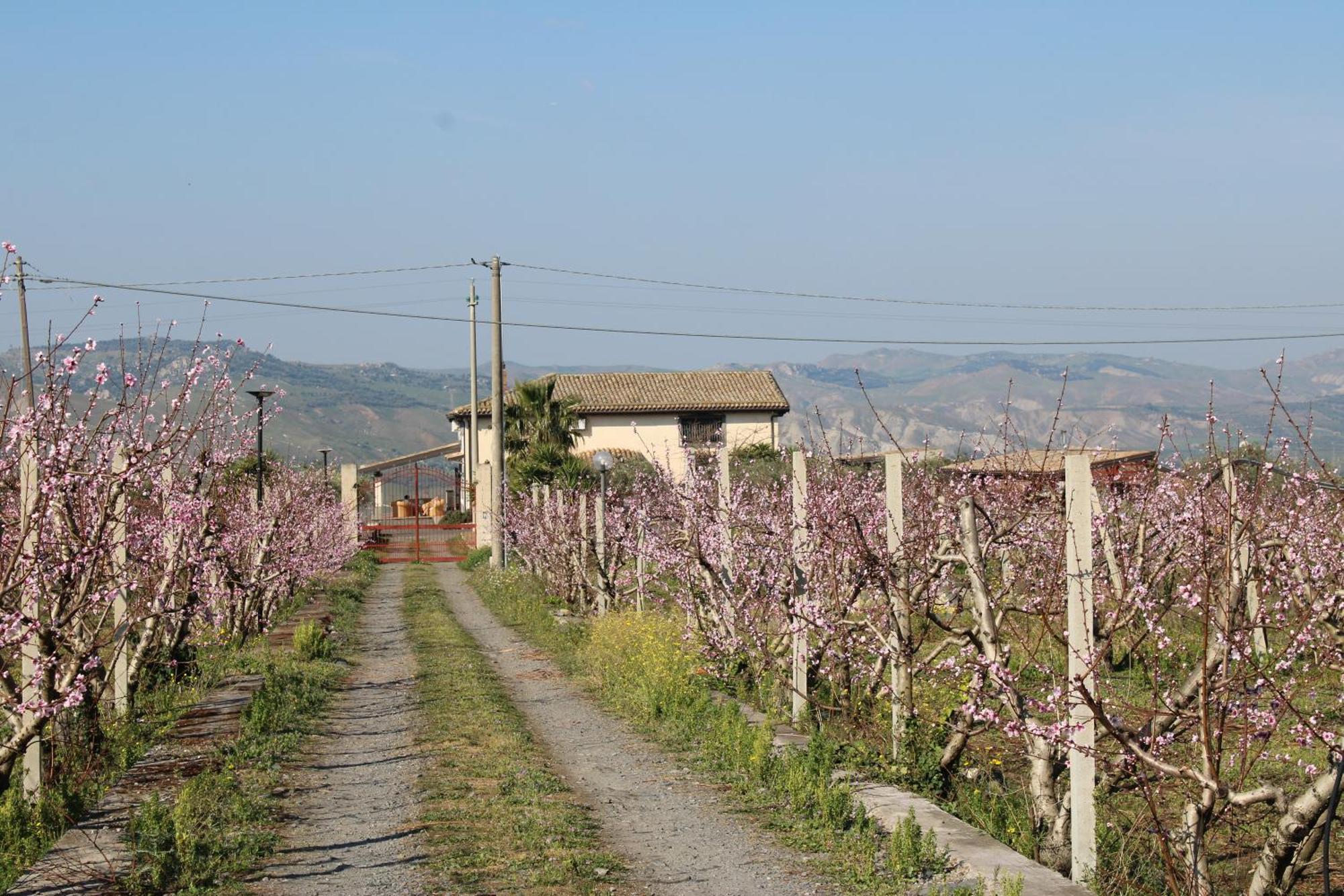Hotel Ranch Simeto Paterno  Exterior foto